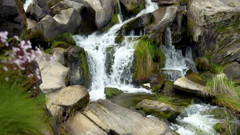 Stunning-waterfall-shot-with-focus-pull-from-pink-wildflowers-to-the-falls-|-4K