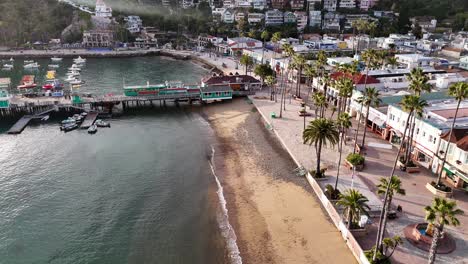Avalon,-catalina-island-showcasing-the-beach,-vibrant-town,-and-marina-during-the-day,-aerial-view