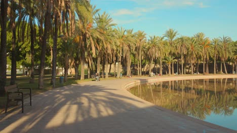 Sunlit-palm-lined-pathway-in-Turia-Gardens,-Valencia,-reflecting-on-calm-water