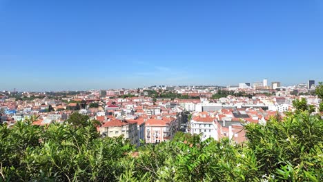 Lisbon-cityscape-viewed-from-Miradouro-da-Senhora-do-Monte,-lush-greenery-foreground,-sunny-day