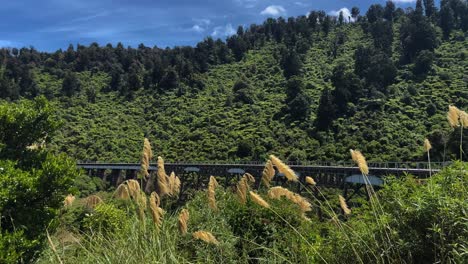 Caballete-De-Ferrocarril-Que-Abarca-Un-Valle-Forestal-Con-Hierba-En-Primer-Plano-En-Un-Día-Soleado