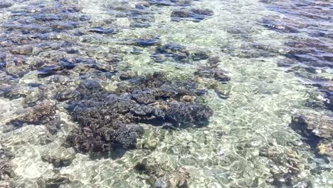 Agua-Clara-Del-Mar-En-La-Isla-Karampuang-En-Mamuju,-Sulawesi-Occidental