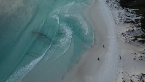 Dos-Vehículos-Todoterreno-Conduciendo-Por-Una-Playa-De-Arena-En-Australia-Durante-El-Viaje-A-Lo-Largo-De-La-Bahía-Turquesa