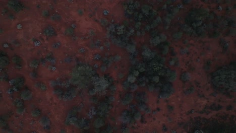 Panning-overhead-drone-shot-showing-unique-Australian-outback-habitat-and-iron-rich-red-earth