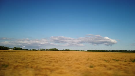 Vast-golden-field-under-blue-sky-with-clouds,-wind-turbine-in-distance,-shot-from-car-on-Gotland