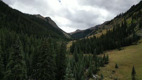 Denso-Bosque-De-árboles-Verdes-En-Las-Montañas-De-Colorado