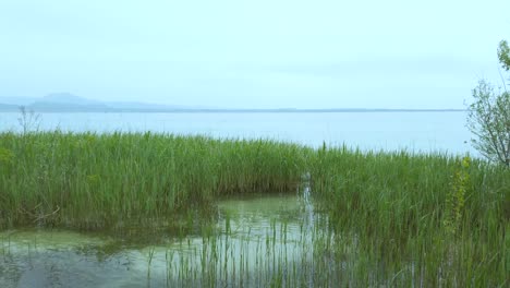 Panoramic-view-of-Lake-Garda-from-Sirmione-with-ducks,-mountains,-and-azure-sky