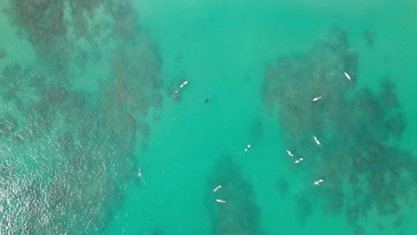 Overhead-view-of-surfers-in-turquoise-waters
