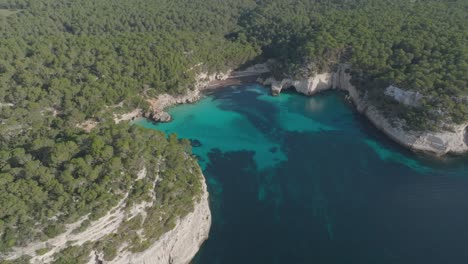 Cala-Mitjana-Turquoise-Beach-Bay,-Aerial-Tops-Down-Forested-Cliffs-Environment-in-Menorca-Spain