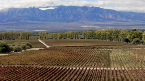 A-breathtaking-aerial-view-captures-vineyards-stretching-to-the-horizon-against-the-backdrop-of-the-imposing-Andes-Mountains-in-Cafayate,-Salta,-Argentina