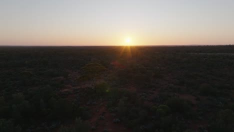 Amanecer-De-Color-Amarillo-Anaranjado-Brillante-Sobre-El-Remoto-Interior-De-Australia,-Con-Altos-Eucaliptos