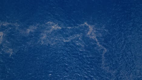 Plume-of-waste-sewage-brown-water-floats-in-Caribbean-blue-ocean