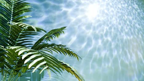Pflanze,-Baum,-Tropische-Natur-Auf-Flüssigem-Hintergrund-Mit-Licht,-Das-Von-Der-Blauen-Wasseroberfläche-Kommt