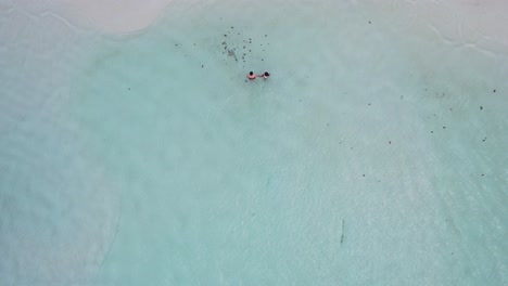 Junges-Paar-In-Badebekleidung-Läuft-Durch-Kristallklares,-Blaues-Wasser-Auf-Einer-Sandbank-Zum-Strand,-Vogelperspektive