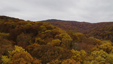 Autumn-foliage-and-bare-trees-in-Ozark-National-Forest-Arkansas,-low-aerial-dolly
