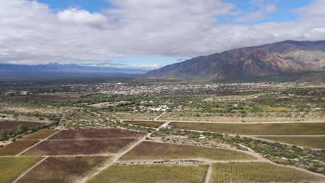 In-this-stunning-aerial-view,-vineyards-extend-as-far-as-the-eye-can-see,-framed-by-the-grand-Andes-Mountains-in-Cafayate,-Salta,-Argentina