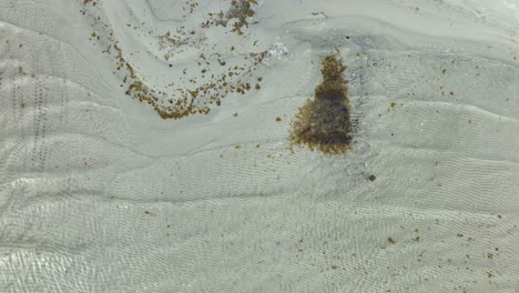Luftaufnahme-Eines-Strandes-Mit-Welligem-Sandmuster-Und-Algenhaufen-Von-Oben