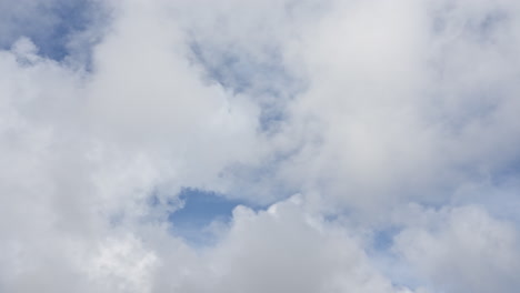 Lebendiger-Zeitraffer-Von-Flauschigen-Weißen-Wolken,-Die-In-Einem-Blauen-Himmel-Treiben