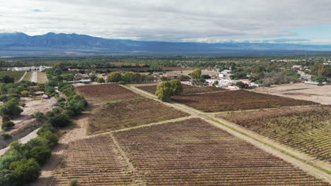 Die-Luftaufnahme-Zeigt-Atemberaubende-Torrontés--Und-Malbec-Weinberge-In-Der-Berühmten-Region,-Die-Für-Ihre-Höhenweine-Bekannt-Ist