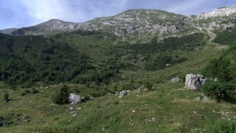 Pastos-De-Montaña-En-El-Parque-Nacional-De-Triglav,-Eslovenia,-Principios-De-Verano,-Amplia-Estática