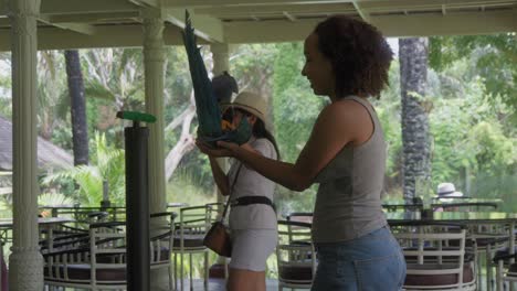 A-bird-show-at-Bali-Bird-Park