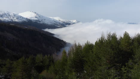 Aerial-view-of-beautiful-conifer-forest-mountainside-slopes-covered-in-floating-clouds-snow-covered-mountain-peak-at-the-distance-day