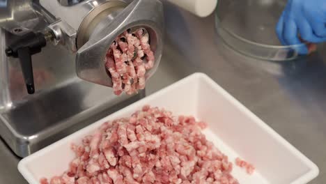 Grinding-pork-meat-in-a-meat-grinder
