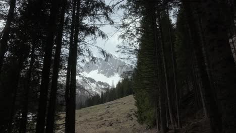 Vista-Panorámica-De-Las-Montañas-Dolomitas-A-Través-De-Altos-Pinos-En-Ladera-En-Italia
