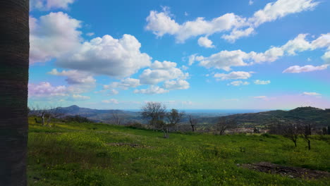 Eine-Malerische-Aussicht-Durch-Hohe-Palmen-über-Ein-üppiges-Grünes-Feld-In-Richtung-Der-Fernen-Berge-Unter-Einem-Himmel-Mit-Vereinzelten-Wolken