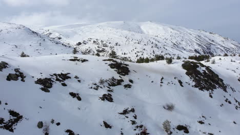 Vista-Aérea-De-Hermosas-Laderas-Forestales-Llenas-De-Coníferas-Cubiertas-De-Nieve-En-El-Pico-De-La-Montaña-A-Lo-Lejos-El-Día