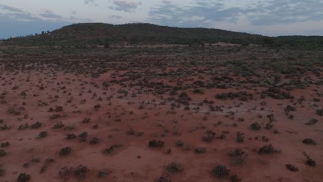 Clip-De-Drone-Que-Muestra-Una-Variedad-única-De-Vegetación-Que-Crece-En-El-Interior-De-Australia-Occidental-Y-Colores-Intensos