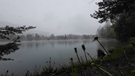 La-Nieve-Cae-A-Principios-De-Primavera-Con-Flores-En-Primer-Plano-Y-Un-Lago-Místico-En-Segundo-Plano.