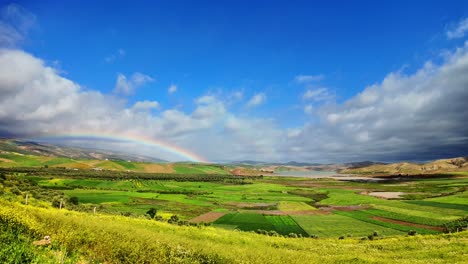 Regenbogen-über-Leuchtend-Grünem-Feld-In-Nordafrika,-Marokko,-Landwirtschaftliche-Flächen