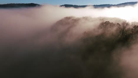Reise-Entlang-Einer-Klippe-Mit-Nebel-Bei-Sonnenaufgang,-Kiefern--Und-Eichenwald-In-Der-Dordogne