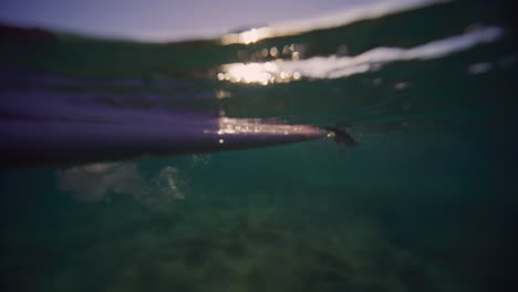 View-from-below-ocean-surface-alongside-longboard-surfer-girl-paddling-in-water