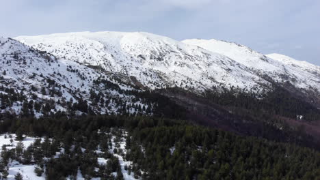 Vista-Aérea-De-Las-Hermosas-Laderas-Del-Bosque-De-Montaña-Pico-De-Montaña-Cubierto-De-Nieve-A-Lo-Lejos-El-Día-De-Invierno