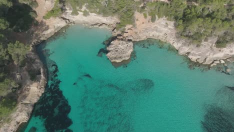 Türkisfarbene,-Saubere-Strandlandschaft-In-Cala-Mitjaneta,-Spanien,-Sommerreise-Mit-Luftdrohne,-Natürliches-Küstenziel