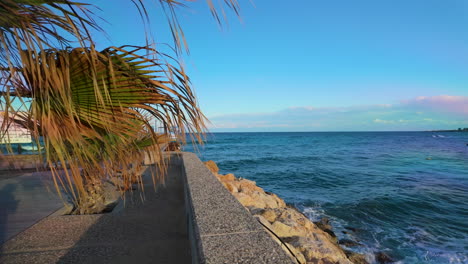 Vista-A-Lo-Largo-De-Un-Malecón-Con-Hojas-De-Palma-Que-Sobresalen-Sobre-Un-Fondo-De-Mar-Azul-Profundo-Y-Cielos-Despejados