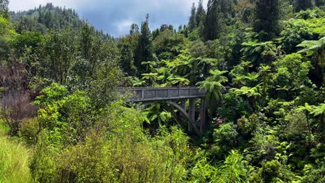 Wide-shot-of-woman-walking-across-a-bridge-and-looking-over-the-edge-in-lush-tropical-jungle-on-a-rainy-day