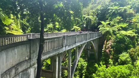 Woman-looking-over-edge-of-a-bridge-and-walking-toward-camera-in-a-lush-tropical-jungle,-New-Zealand