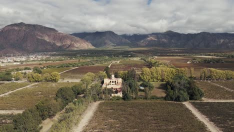 Aerial-view-of-a-winery-in-the-Cafayate-Valley,-renowned-for-its-high-altitude-Torrontés-wines