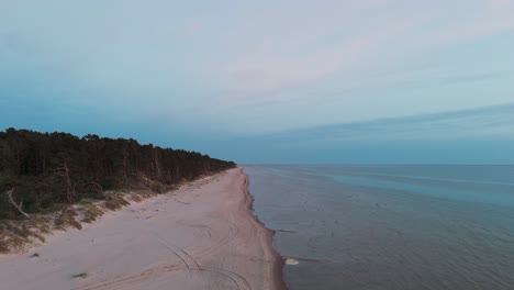 Aerial-Birdseye-View-of-Baltic-Sea-Coast-on-a-Sunny-Day,-Seashore-Dunes-Damaged-by-Waves,-Broken-Pine-Trees,-Coastal-Erosion,-Climate-Changes,-Wide-Angle-Drone-Shot