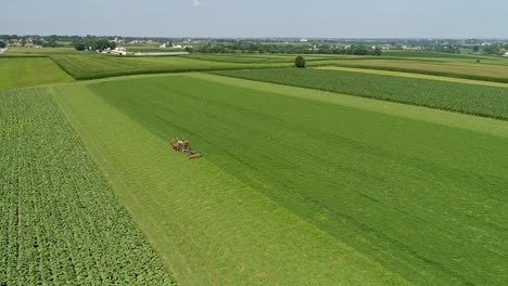 Pferde-Und-Amish-Arbeiter-Pflügen-Das-Feld-Mit-Klassischen-Landwirtschaftlichen-Geräten