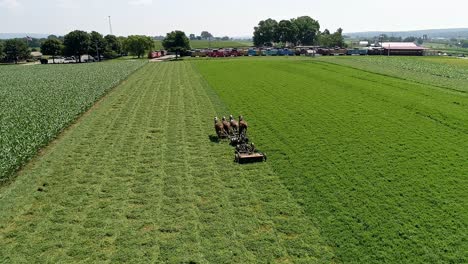 Pferde-Und-Amish-Arbeiter-Pflügen-Das-Feld-Mit-Klassischen-Landwirtschaftlichen-Geräten