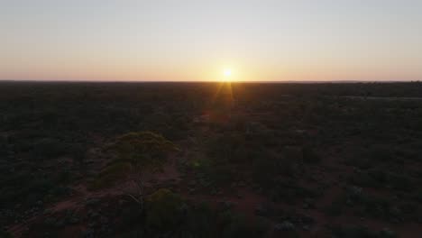 Drone-clip-of-early-morning-sunrise-over-Australian-outback,-with-lush-vegetation-and-Eucalyptus-trees