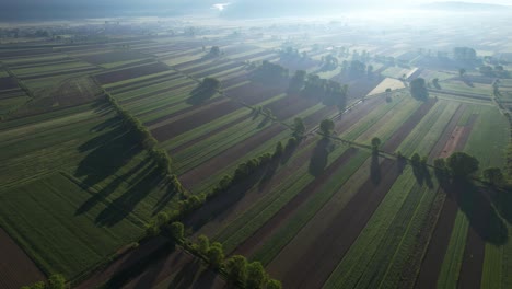 Sonnenaufgang-Am-Nebligen-Morgen,-Der-Geometrische-Landwirtschaftliche-Parzellen-Mit-Unterschiedlichen-Nutzpflanzen-Auf-Dem-Feld-Umfasst