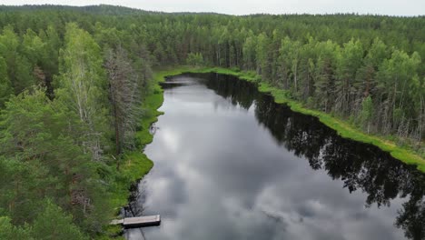 Luftaufnahmen-Sinken-Durch-Dichten-Grünen-Wald-Zu-Einem-Winzigen,-Mit-Moos-Gesäumten-See