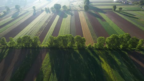 Frühlingsmorgensonne-Beleuchtet-Landwirtschaftliche-Parzellen-Auf-Den-Feldern-Mit-Pflanzen-Auf-Farbenfrohem-Land,-Luftaufnahme