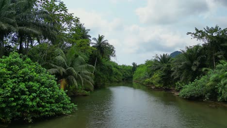 Volando-Bajo-Sobre-El-Río-Caué-En-Medio-Del-Bosque-En-El-Sur-De-Santo-Tomé,-África