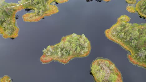 Aerial-descends-to-colorful-orange,-green-islets-on-black-bog-lake